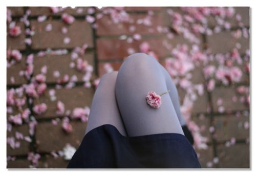 3502160461_d049e39777_b