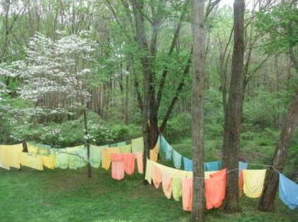 4926_123402416415_107418161415_3367273_3475864_n