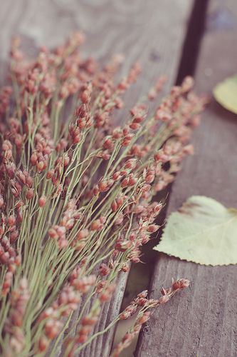 3877047088_631688c822 3877047088_631688c822