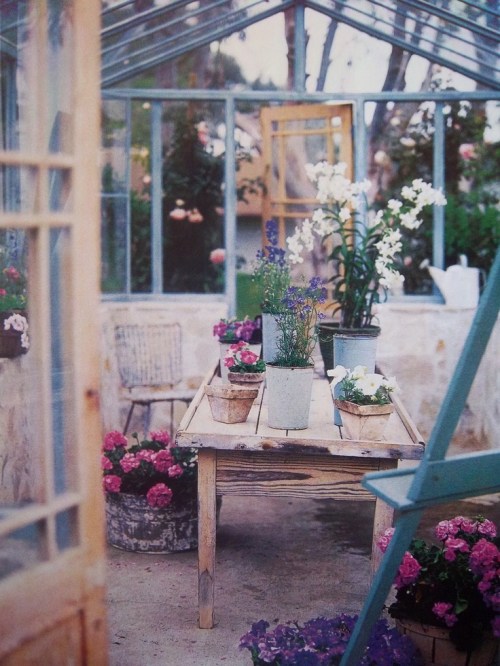 e939f369687c1ad98cb32d2290e50738