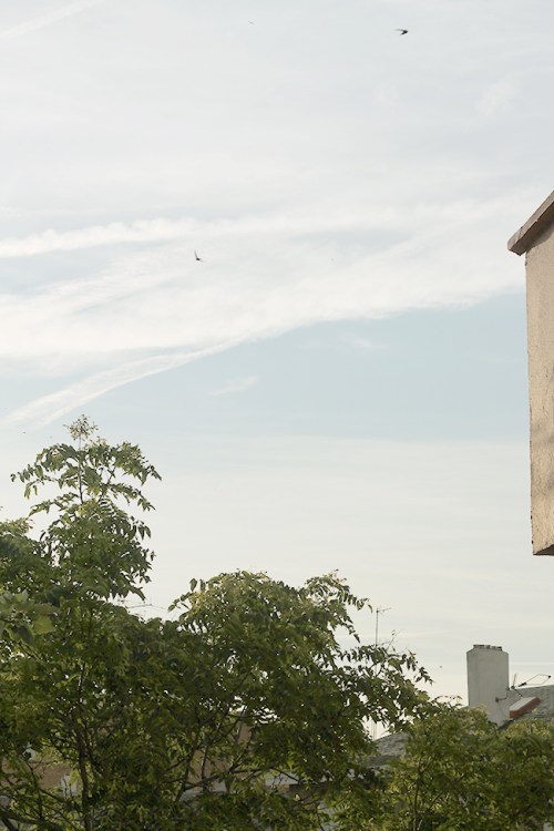 Superkitina. por la mañana