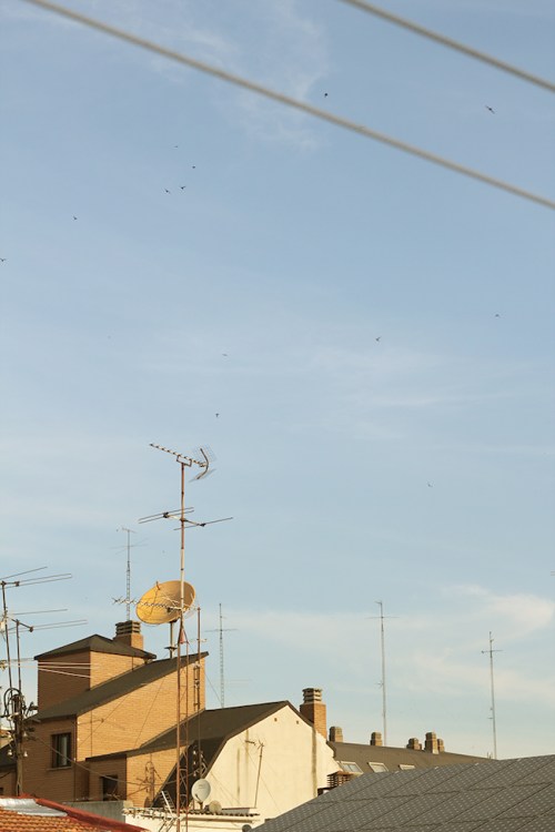 Superkitina. Por la mañana