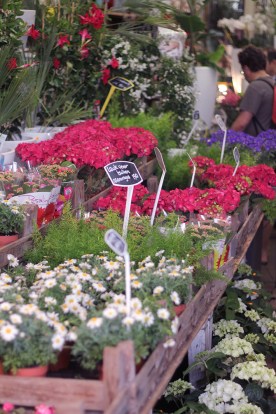 Superkitina: Ruta por Amsterdam Albert Cuypmarkt